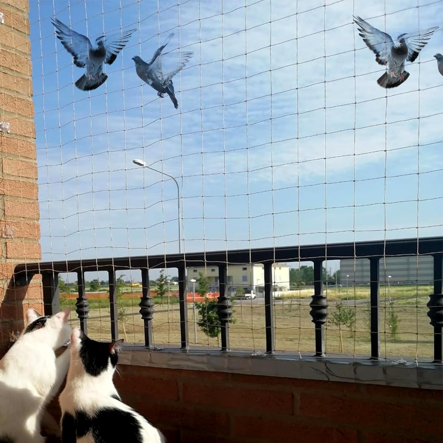 Bird Control Net